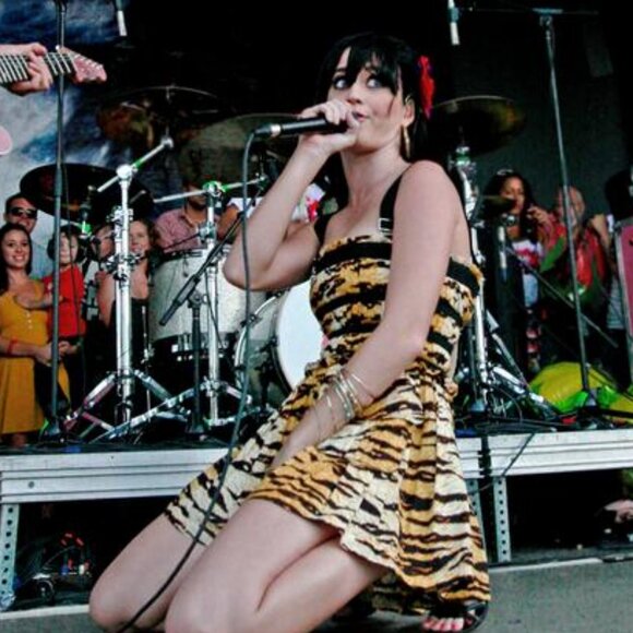 NWT D&G Tiger Print Dress ASO Sharpay Evans & Katy Perry - Picture 7 of 12